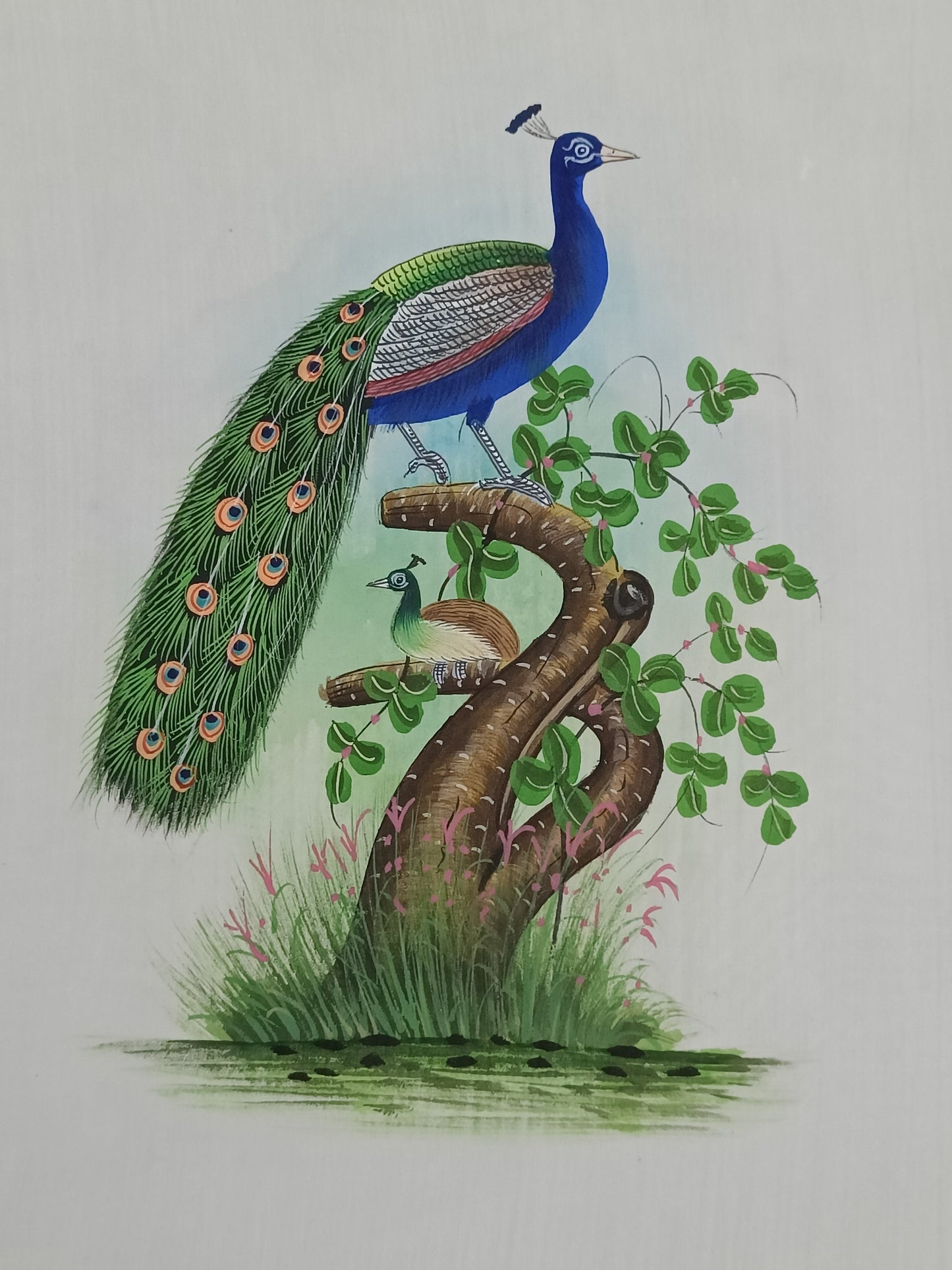 Peacock Silk Artwork With Water Color Painting